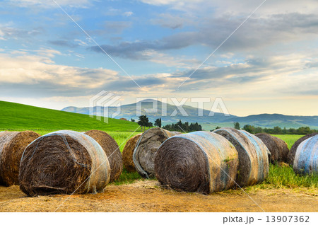 Toscana Toscana 13907362