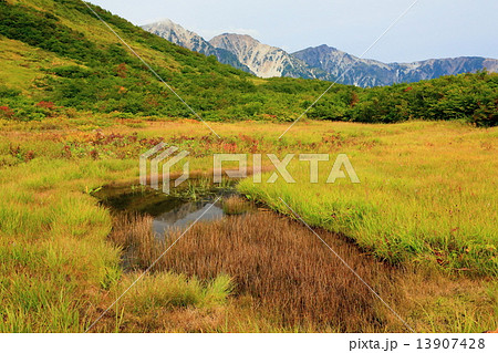 北アルプス・八方尾根の池塘と白馬三山 北アルプス・八方尾根の池塘と白馬三山 13907428