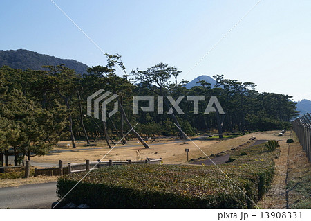 沼津御用邸 13908331