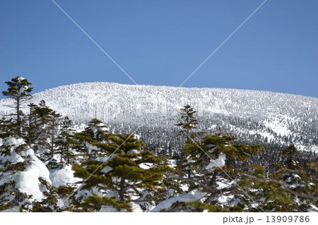 西吾妻山 13909786