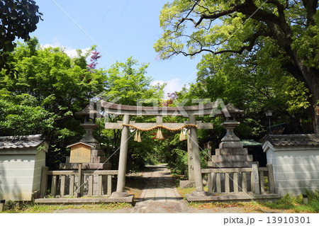 京都　京都御苑　宗像神社 13910301