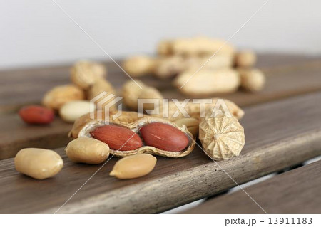 peanuts 13911183
