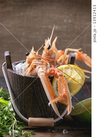 Langoustines on ice 13912413