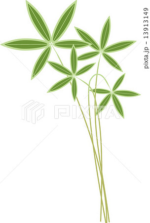 くまざさのイラスト素材 くまざさのイラスト素材