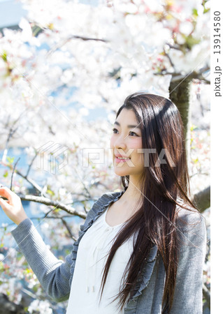 桜と爽やかな女性 桜と爽やかな女性 13914580