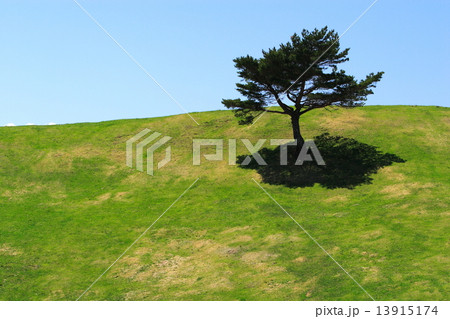 高原の風景 高原の風景 13915174