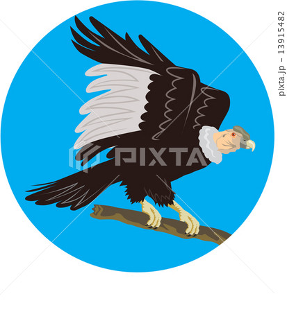California Condor Perching Branch Circle Retro 13915482