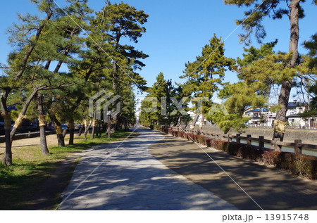 草加松原 草加松原 13915748