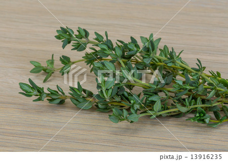 Fresh thyme Fresh thyme 13916235
