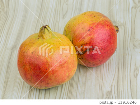 Yellow Pomegranet Yellow Pomegranet 13916246