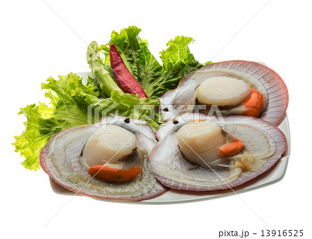 Raw fresh scallop Raw fresh scallop 13916525