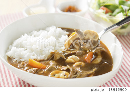 カレーライス カレーライス 13916900