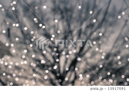 Blurred bokeh lights with deciduous tree on background Blurred bokeh lights with deciduous tree on background 13917091