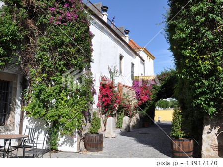 修道院を改装したホテルの庭園 13917170