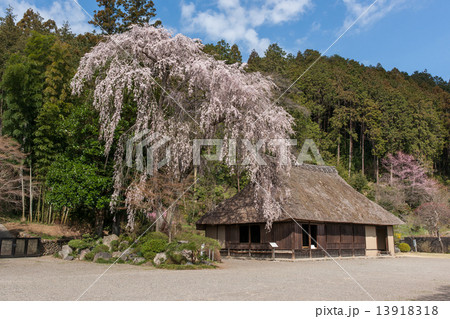 旧高麗家住宅 旧高麗家住宅 13918318