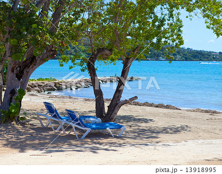 Empty beach chairs in a shadow of trees at the sea. Jamaica 13918995