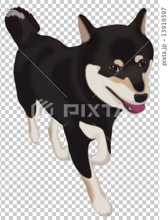 チョークアート　黒柴犬　B4サイズ チョークアート 黒柴犬 B4サイズ