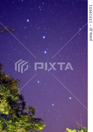 北斗七星 13919601