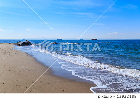 野間崎の海岸 野間崎の海岸 13922188