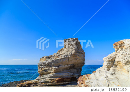 野間崎の海岸 13922199