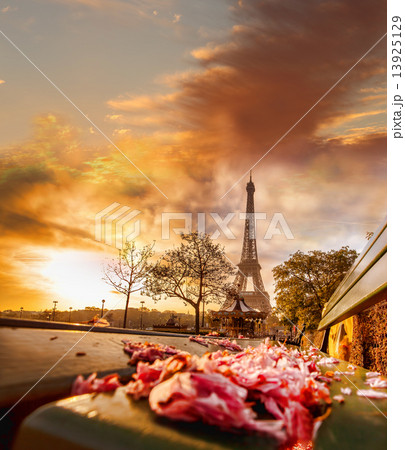 Eiffel Tower during beautiful  spring morning in Paris, France 13925129