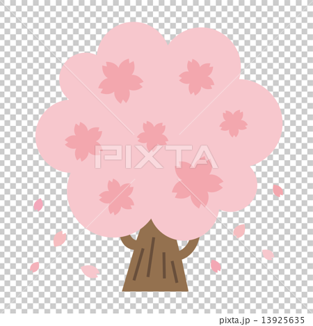 桜の木 13925635