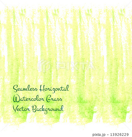 grass horizontal panorama grass horizontal panorama 13926229