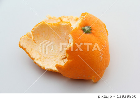 みかんの皮 13929850
