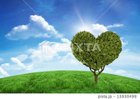 Composite image of heart shaped plant 13930499