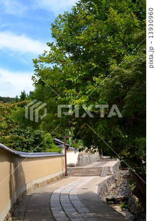 東大寺　境内の風景 13930960