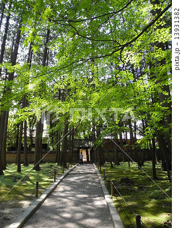 唐招提寺　鑑真和上開山御廟への道 13931382