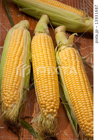 corn 13931687