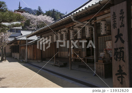 宮島 13932620