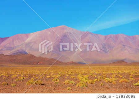 Northern Argentina 13933098