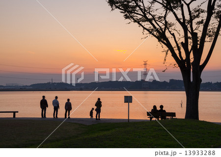 手賀沼公園の夕陽 13933288