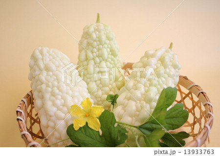 ゴーヤー 13933763