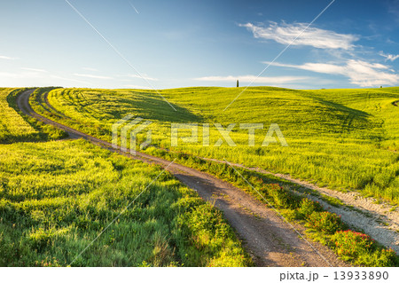 Tuscany at spring 13933890