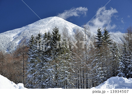 冬の蓼科山 13934507