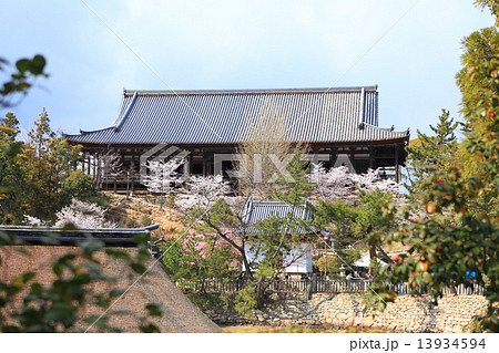 宮島の千畳敷の写真素材