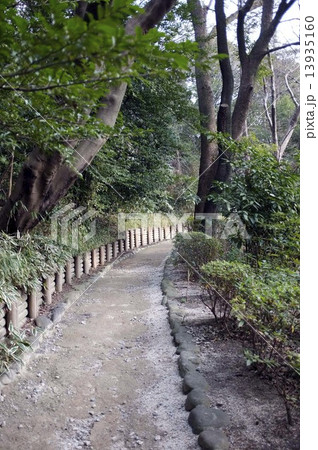 哲学堂公園 哲学堂公園 13935160