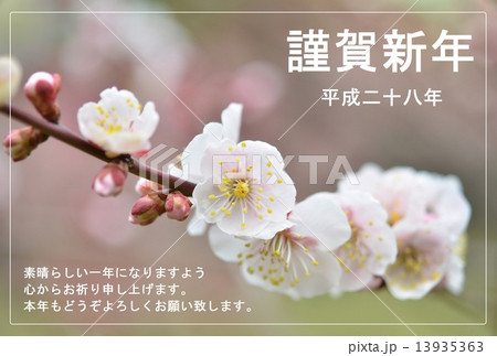 早春の白梅 ハガキサイズ 賀詞・添書付 早春の白梅 ハガキサイズ 賀詞・添書付 13935363