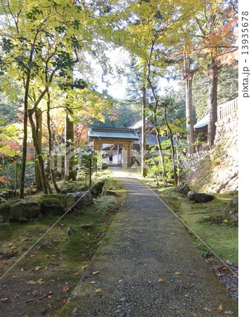 紅葉の小路 紅葉の小路 13935678