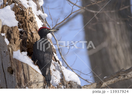 えっ！！ 13937924