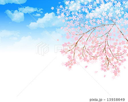 桜 空 背景のイラスト素材 13938649 Pixta