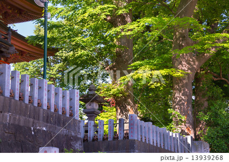 柏市布施弁天 柏市布施弁天 13939268