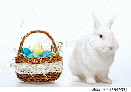 Little Easter bunny in the basket Little Easter bunny in the basket 13940551