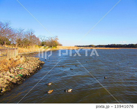 手賀沼 手賀沼 13941076