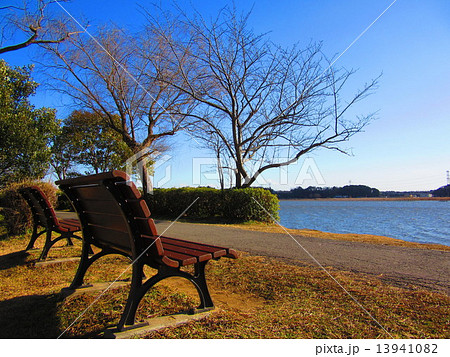 手賀沼とベンチ 手賀沼とベンチ 13941082