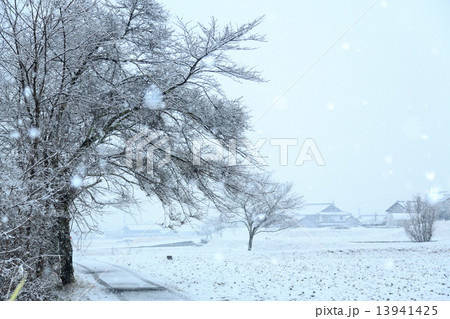 里山の雪 13941425