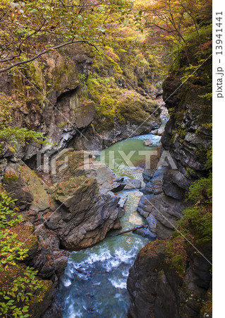 八丁暗がり 13941441